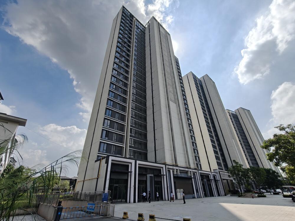 东莞市一个小区487套房产打包拍卖，被人底价1.124亿元竞得